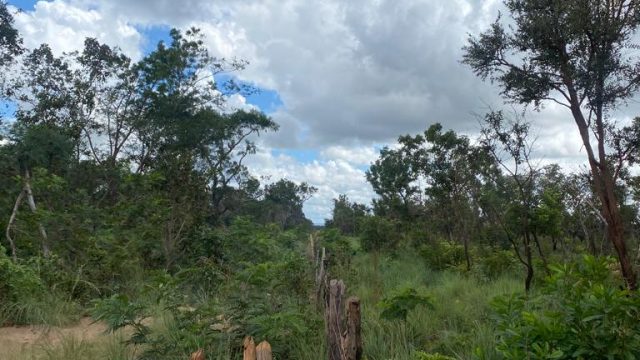 Fazenda no Maranhão